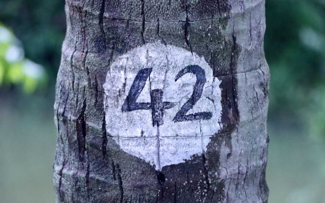 Nicht 42, sondern Kalari Rasayna ist die Antwort ;-)