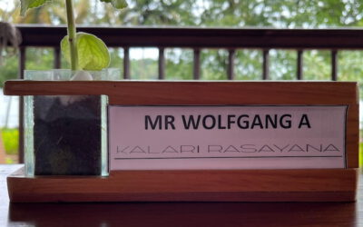 Eine erste Zwischenbilanz